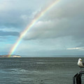 Rainbow II Photograph by Anamar Pictures Rainbow II Photograph by Anamar Pictures
