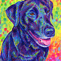 Rainbow Labrador Retriever Painting by Rebecca Wang Rainbow Labrador Retriever Painting by Rebecca Wang