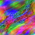 Rainbow Reef by Diane Parnell
