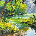 Rainbow River Morning by Larry Whitler