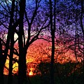 Rainbow Sunset Photograph by Mary Walchuck Rainbow Sunset Photograph by Mary Walchuck