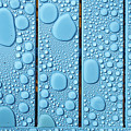 Raindrops 1 Photograph by Nigel R Bell Raindrops 1 Photograph by Nigel R Bell