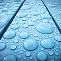 Raindrops 2 Photograph by Nigel R Bell Raindrops 2 Photograph by Nigel R Bell