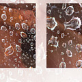 Raindrops On Web Photograph by Karen Rispin Raindrops On Web Photograph by Karen Rispin