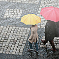 Rainy day in Heidelberg Photograph by Tatiana Travelways Rainy day in Heidelberg Photograph by Tatiana Travelways