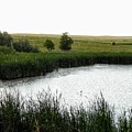 Rainy Pond Photograph by Amanda R Wright Rainy Pond Photograph by Amanda R Wright