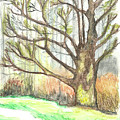 Reaching Painting by Patricia Arroyo Reaching Painting by Patricia Arroyo