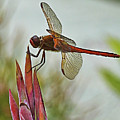 Ready for takeoff Photograph by Bill Barber Ready for takeoff Photograph by Bill Barber