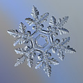 Real snowflake 2016-01-23_9300-8alt by Alexey Kljatov
