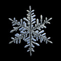 Real Snowflake 2018-12-18_5 by Alexey Kljatov Real Snowflake 2018-12-18_5 by Alexey Kljatov