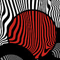 Red and Black Fantasia 3 by Eena Bo