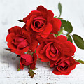Red Roses Photograph by Gina Fitzhugh Red Roses Photograph by Gina Fitzhugh