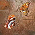 Red Sandstone and CA Butterflies Painting by Lucy Arnold Red Sandstone and CA Butterflies Painting by Lucy Arnold