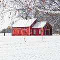 Red Shop on a Sunny Winter Morning  by Mary Tastad