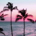 Red Sky at Night Photograph by Robert Carter Red Sky at Night Photograph by Robert Carter