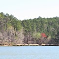 Red Tree Dock Photograph by Ed Williams Red Tree Dock Photograph by Ed Williams