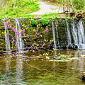 Redbud Branches And Waterfall by Jennifer White