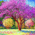 Redbud Radiance Painting by Jane Small Redbud Radiance Painting by Jane Small