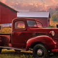 Reds at Sunrise Photograph by Debra and Dave Vanderlaan Reds at Sunrise Photograph by Debra and Dave Vanderlaan