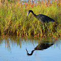 Reflecting on Life Photograph by Gordon Elwell Reflecting on Life Photograph by Gordon Elwell