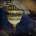 Reflection Of The US Capitol Dome Photograph by Elvira Peretsman Reflection Of The US Capitol Dome Photograph by Elvira Peretsman