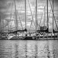 Reflections and Boats at the Harbor in Black and White Photograph by Debra and Dave Vanderlaan Reflections and Boats at the Harbor in Black and White Photograph by Debra and Dave Vanderlaan