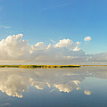 Reflections from Port Bay Photograph by Christopher Rice Reflections from Port Bay Photograph by Christopher Rice