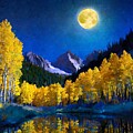 Reflections of Colorado Aspens by Susan Rydberg