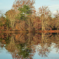 Reflections on Batsto Lake Photograph by Kristia Adams Reflections on Batsto Lake Photograph by Kristia Adams