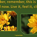 Remember This Is Now Photograph by Nancy Ayanna Wyatt Remember This Is Now Photograph by Nancy Ayanna Wyatt