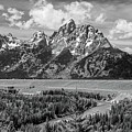 Remembering Ansel Adams, Black and White Photograph by Marcy Wielfaert Remembering Ansel Adams, Black and White Photograph by Marcy Wielfaert