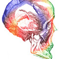 Ressurection-Multi-color Skull Drawing by Lisa Senette Ressurection-Multi-color Skull Drawing by Lisa Senette