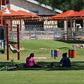 Rest Break Photograph by C Winslow Shafer Rest Break Photograph by C Winslow Shafer