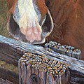 Rhoda Knows Painting by Page Holland Rhoda Knows Painting by Page Holland