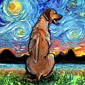 Rhodesian Ridgeback Night Painting by Aja Trier Rhodesian Ridgeback Night Painting by Aja Trier