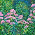 Rhododendron Near Black Rock Hill by Kendall Kessler Rhododendron Near Black Rock Hill by Kendall Kessler