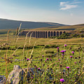 Ribblehead Viaduct Photograph by Tom Holmes Photography Ribblehead Viaduct Photograph by Tom Holmes Photography