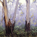Ribbon Gum trees by Graham Gercken