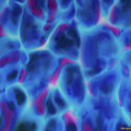 Rich Opal Painting by Daniel Jean-Baptiste Rich Opal Painting by Daniel Jean-Baptiste