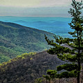 Ridge-and-Valley Appalachians Photograph by Louis Dallara Ridge-and-Valley Appalachians Photograph by Louis Dallara