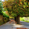 River Severn Walk at Worcester by Stuart Chard