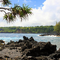 Road to Hana View by Randy Wehner