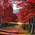 Road To The Clearing P by Frank Wilson