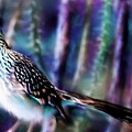 Roadrunner's Dreamy Moonlight Magic by Barbara Chichester
