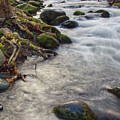 Roadside Creek 3 Photograph by Phil Perkins Roadside Creek 3 Photograph by Phil Perkins