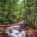 Roaring Run Creek - Eagle Rock Virginia Photograph by Susan Rissi Tregoning Roaring Run Creek - Eagle Rock Virginia Photograph by Susan Rissi Tregoning