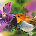 Robin Painting by Espero Art Robin Painting by Espero Art