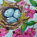 Robins Nest Painting by Roxy Rich Robins Nest Painting by Roxy Rich