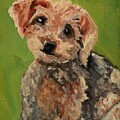 Rocco by Lisa Burlinson