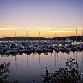 Roche Harbor Sunset by Ed Wilkerson